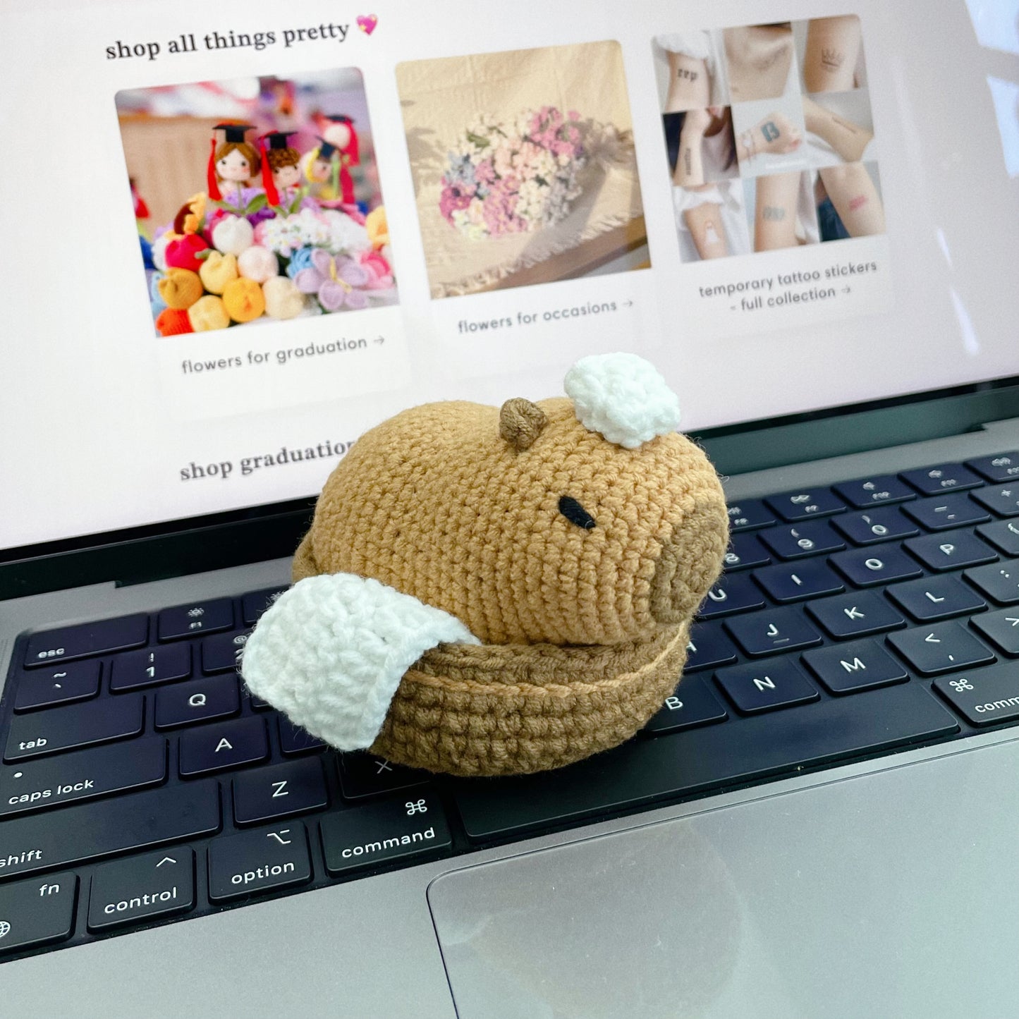 crochet capybara amigurumi ₍ᐢ•(ܫ)•ᐢ₎🤎